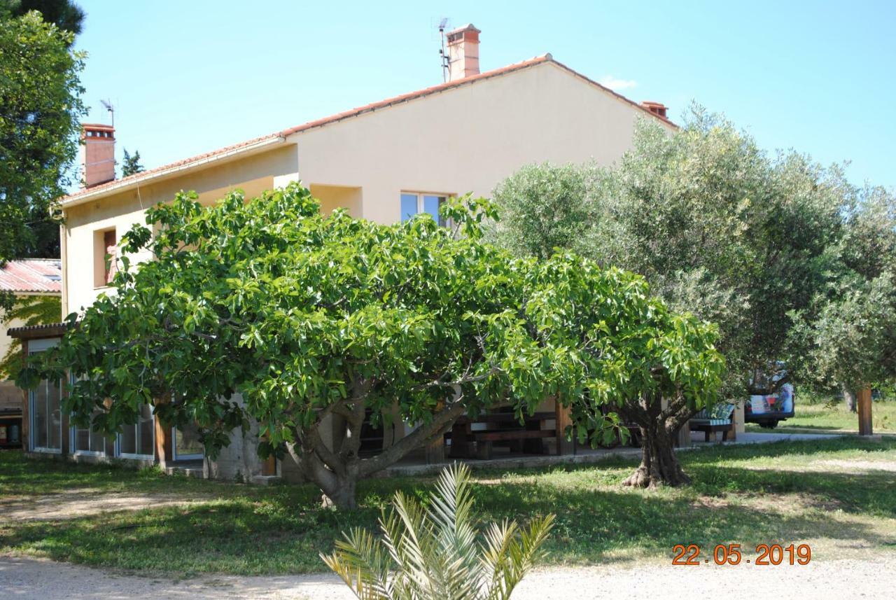 Mas De La Vignassa Villa Le Soler Bagian luar foto